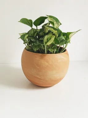 8" Luna Sphere Pot in Terracotta Marble