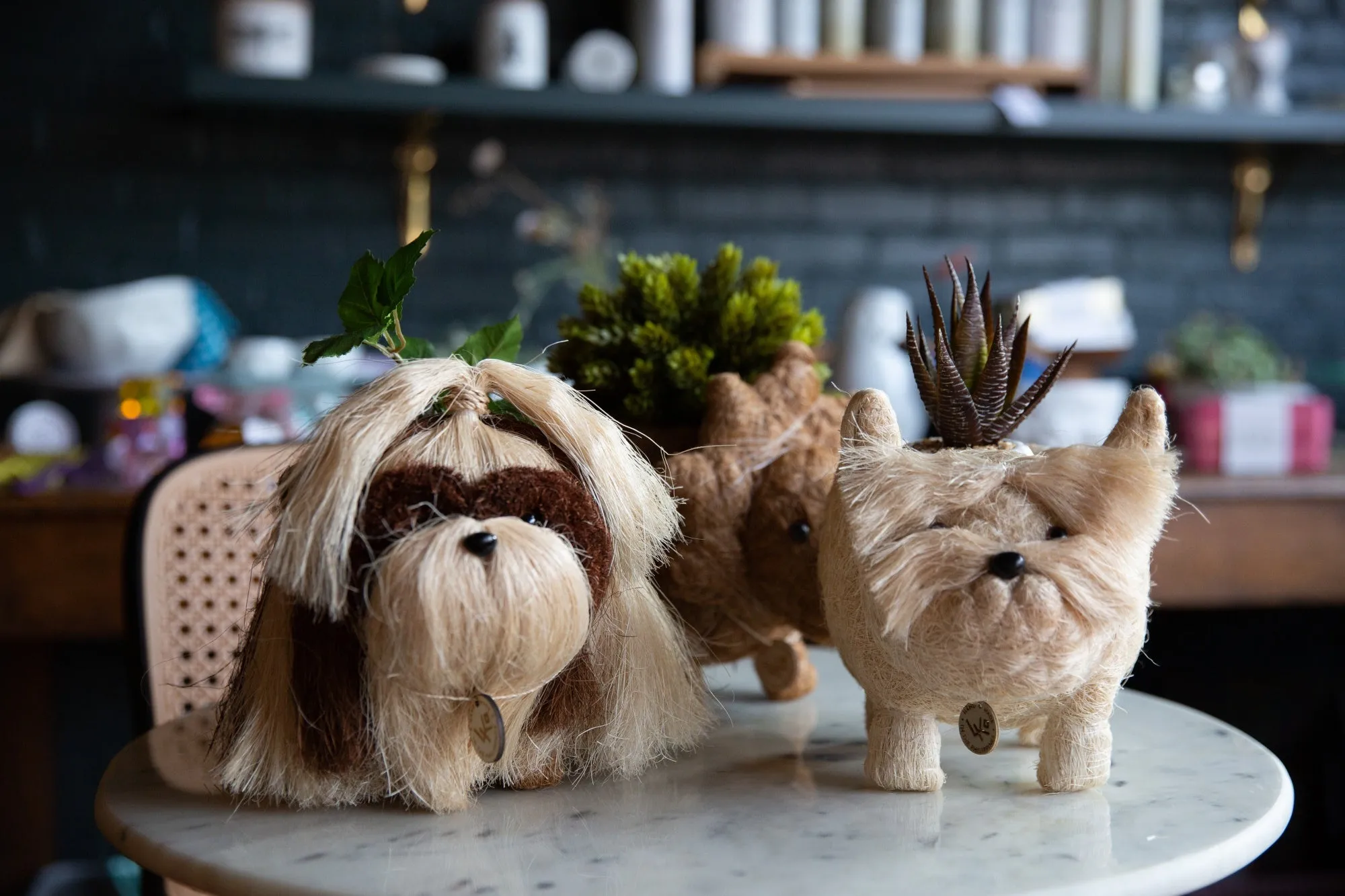 Animal Planter-Shih Tzu