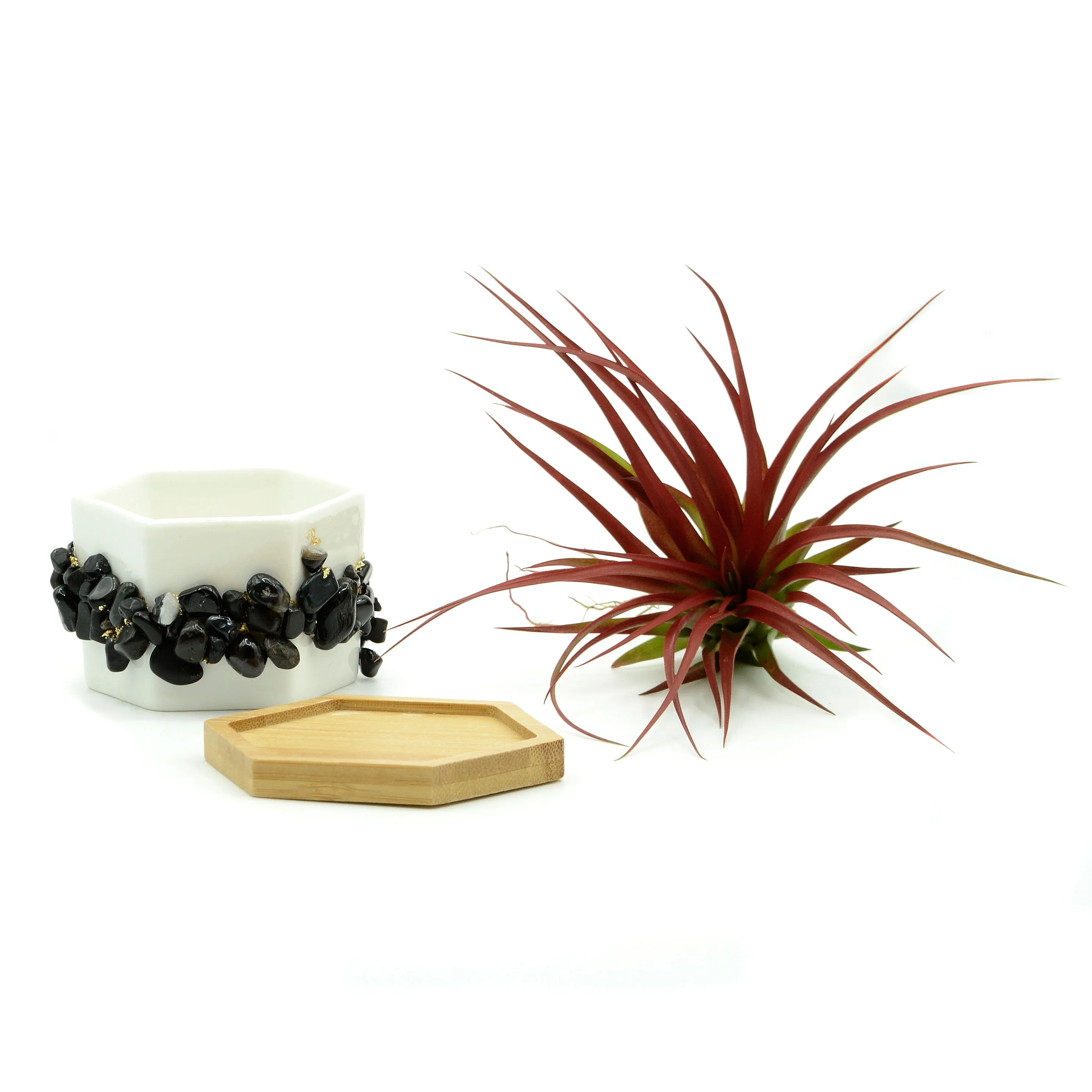 Black Onyx Gemstone Planter   Air Plant