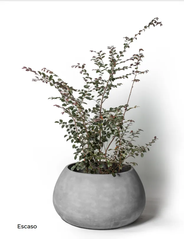 Concrete Planter - Escaso