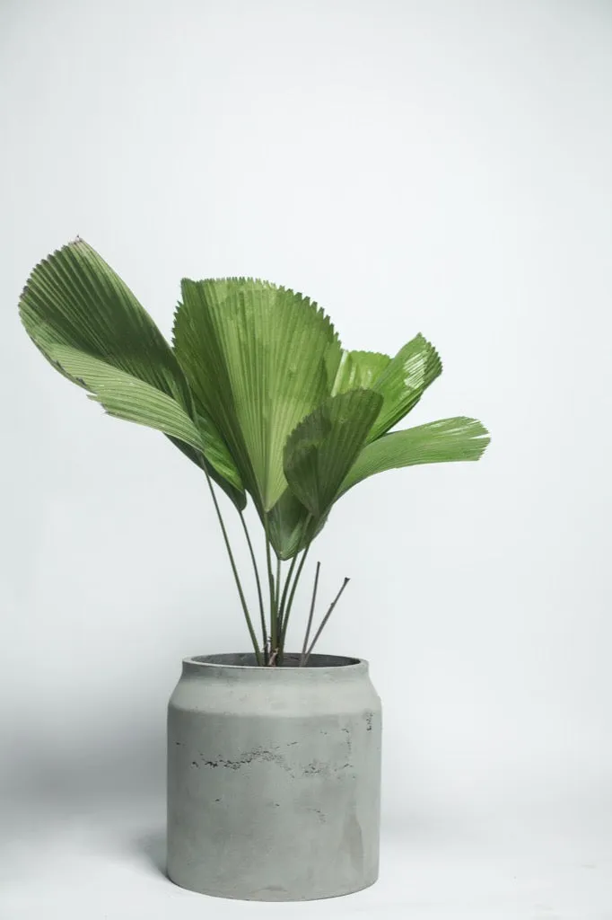 Concrete Planter - Maison S