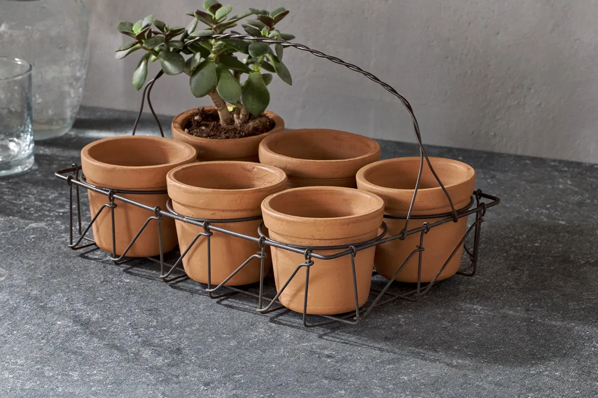 Dilipa Terracotta Multi Planter - Terracotta