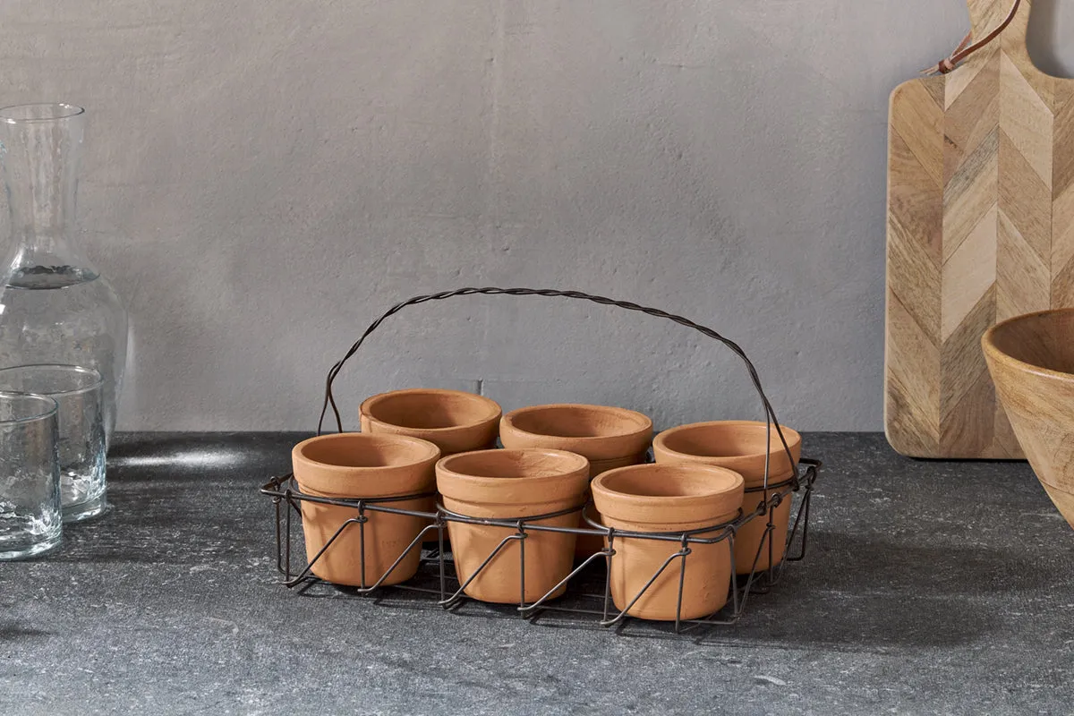 Dilipa Terracotta Multi Planter - Terracotta