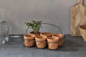 Dilipa Terracotta Multi Planter - Terracotta