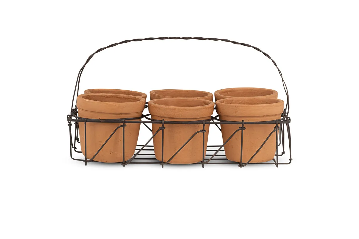 Dilipa Terracotta Multi Planter - Terracotta