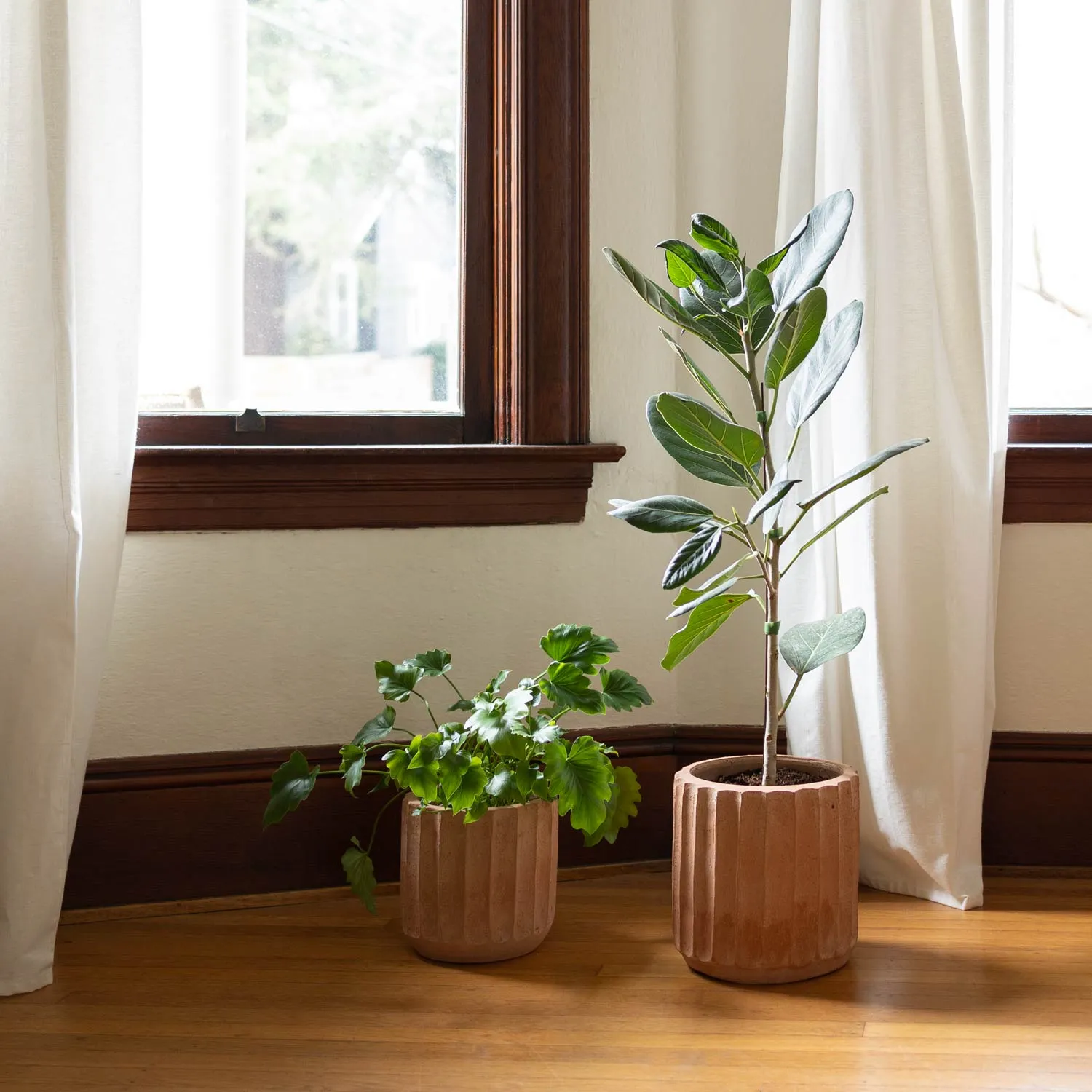 Fluted Planters