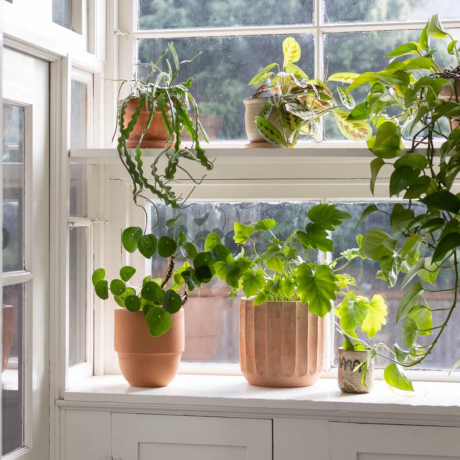 Fluted Planters