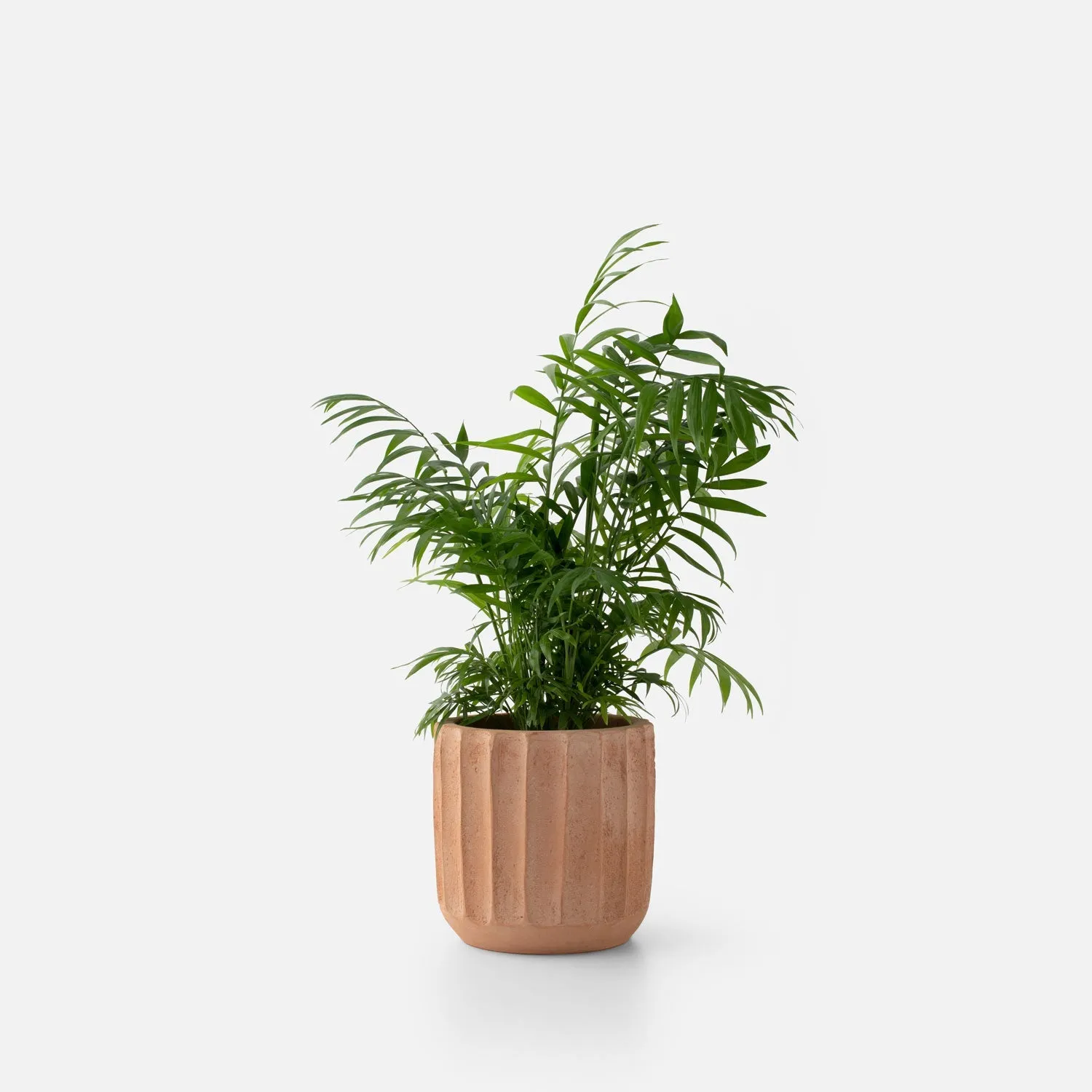 Fluted Planters