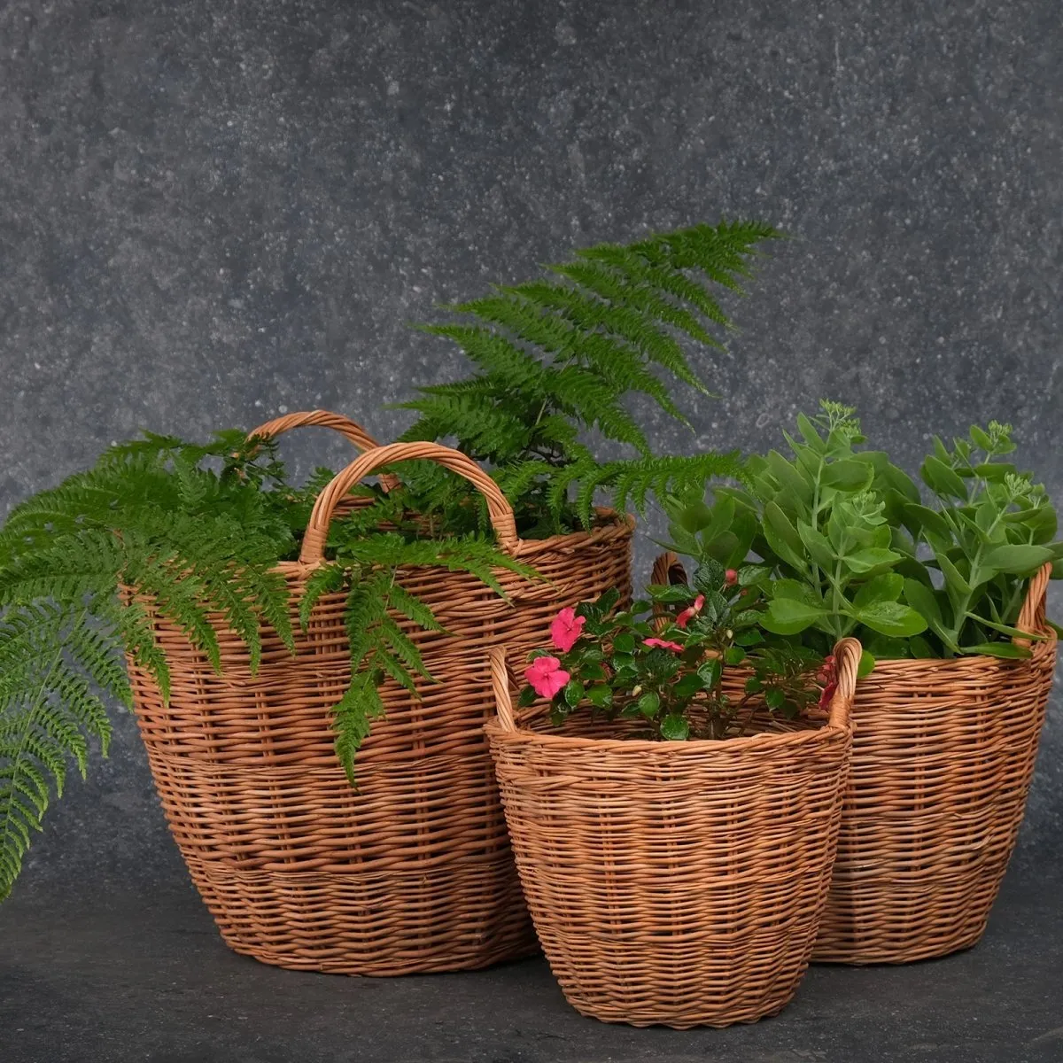 Indoor Planters Made With Wicker From The Willow Tree | Medium |  Sustainable And Eco Friendly | Handmade In India