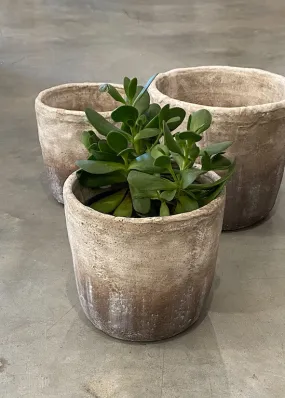 Marron Planter Pot - Medium