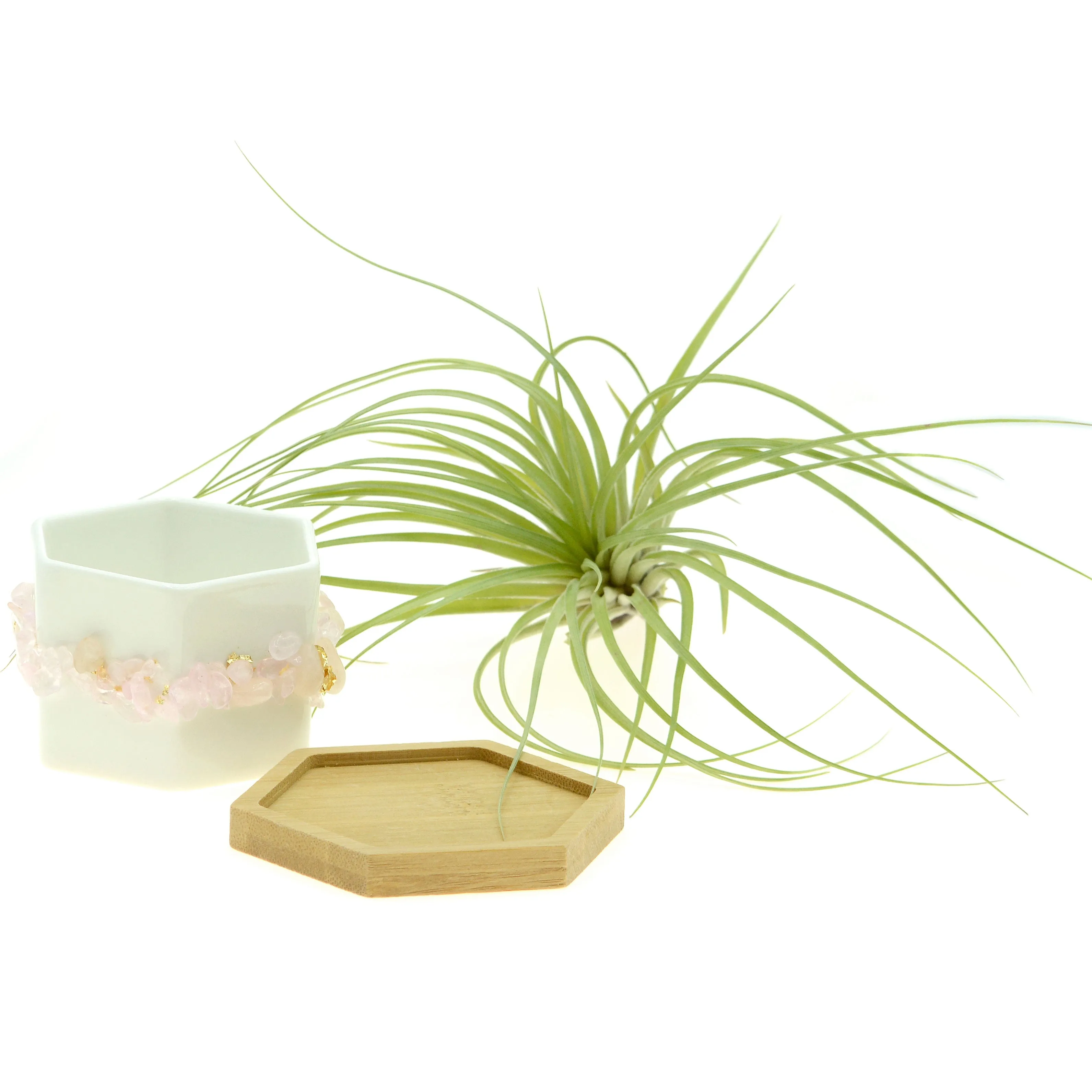 Pink Rose Quartz Gemstone Planter   Air Plant