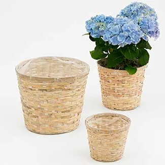 Potting Baskets for Plants ~ Various Styles & Sizes