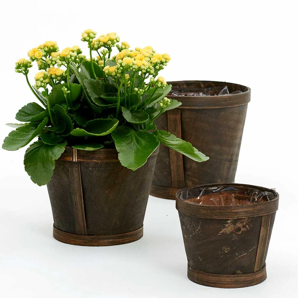 Potting Baskets for Plants ~ Various Styles & Sizes