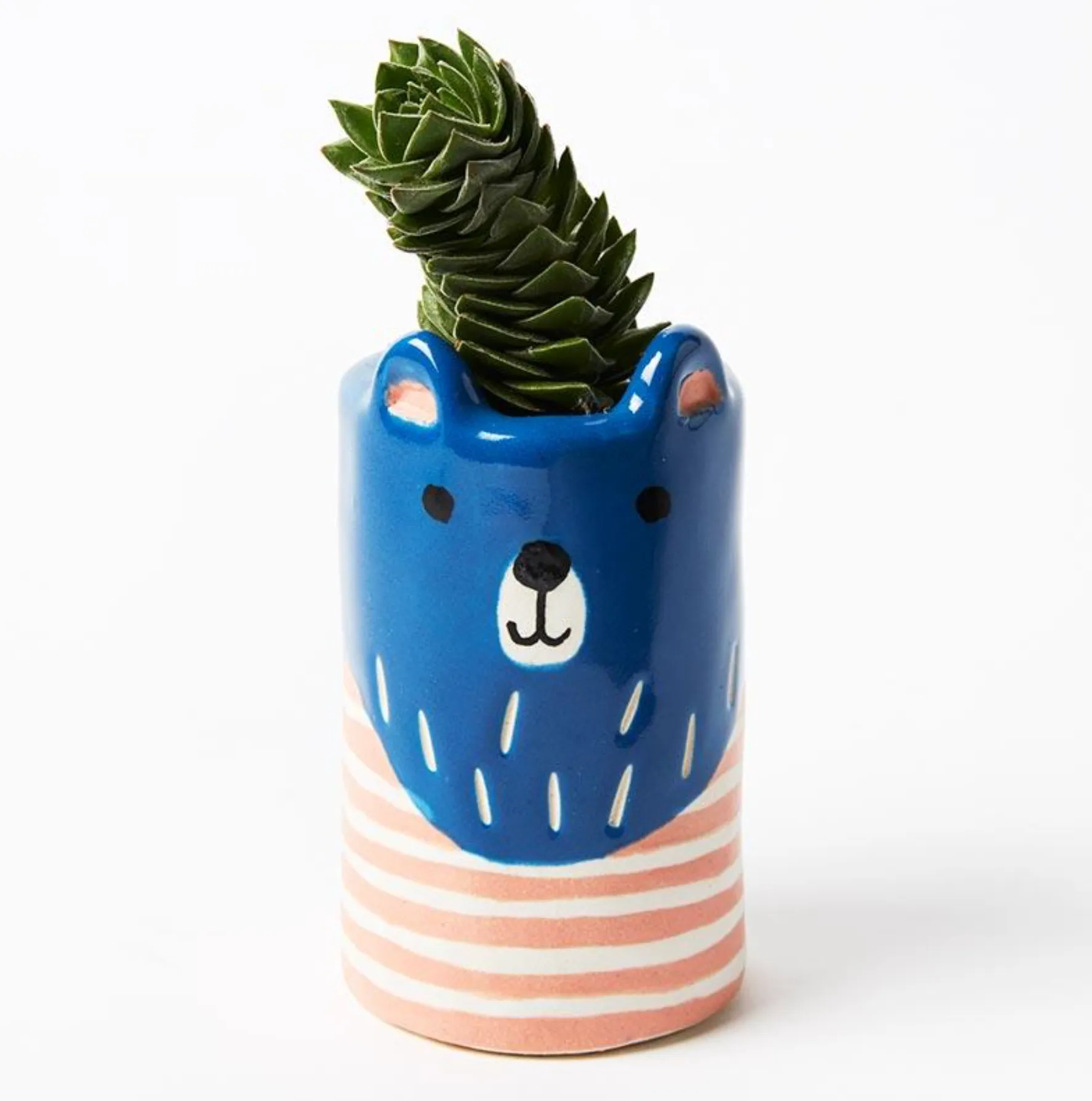 Teddy Planter