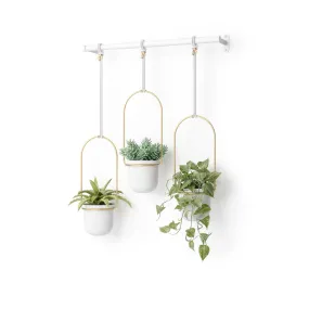 Triflora Hanging Planters, Set of 3