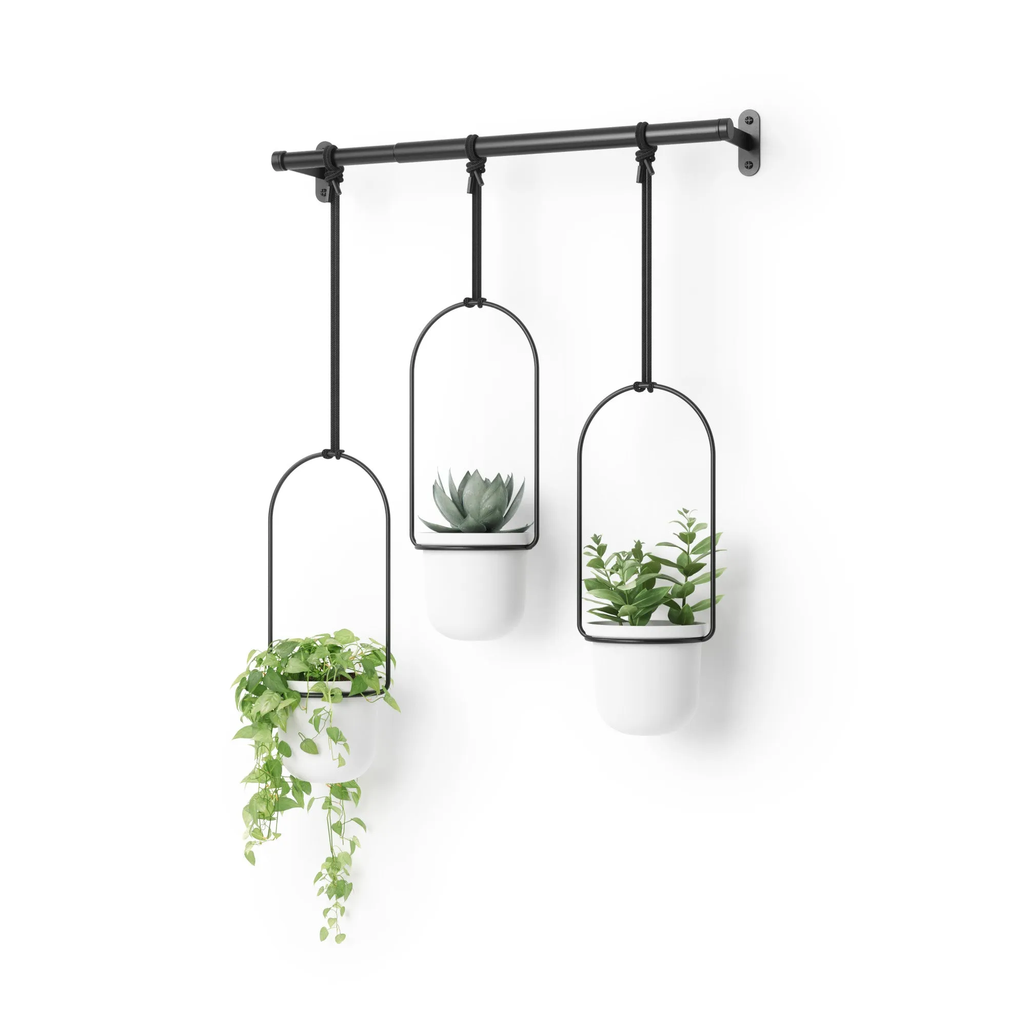 Triflora Hanging Planters, Set of 3