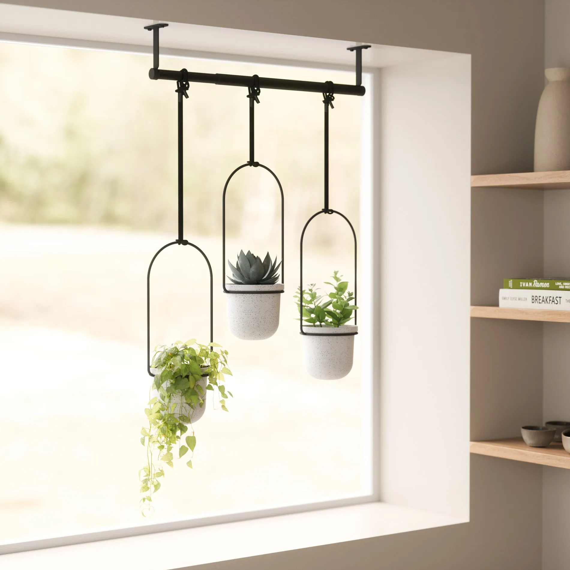 Triflora Hanging Planters, Set of 3