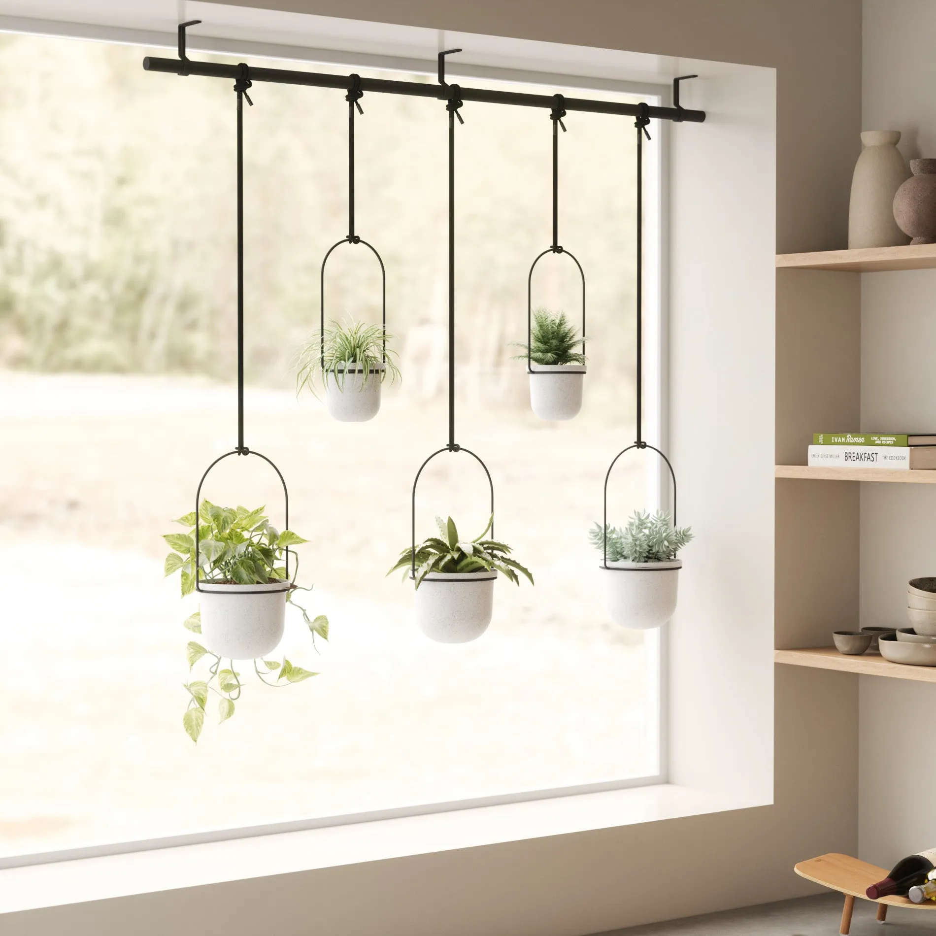 Triflora Hanging Planters, Set of 5