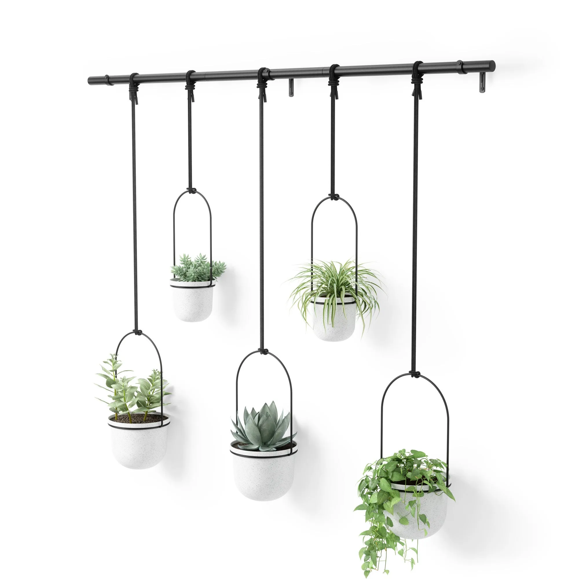 Triflora Hanging Planters, Set of 5