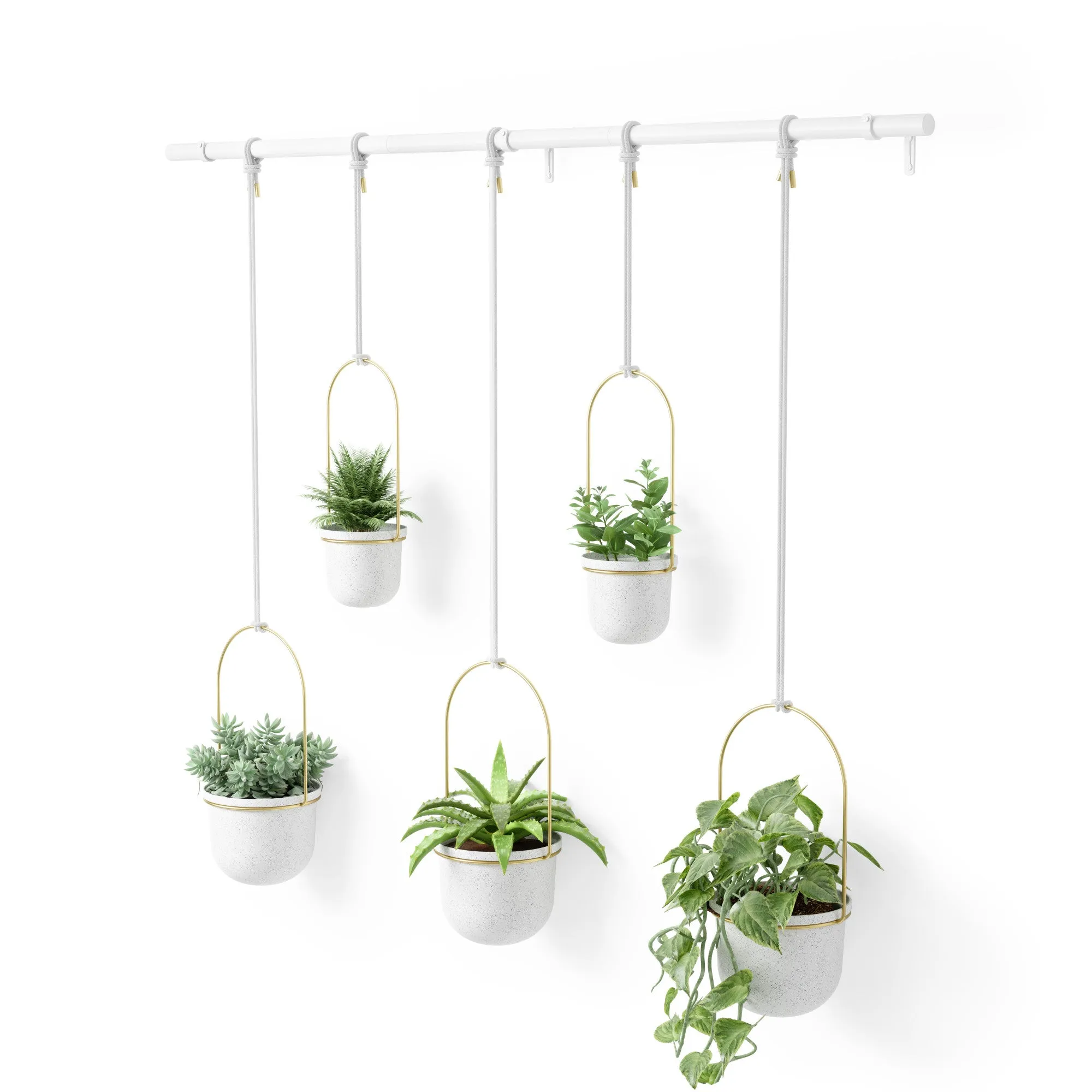 Triflora Hanging Planters, Set of 5