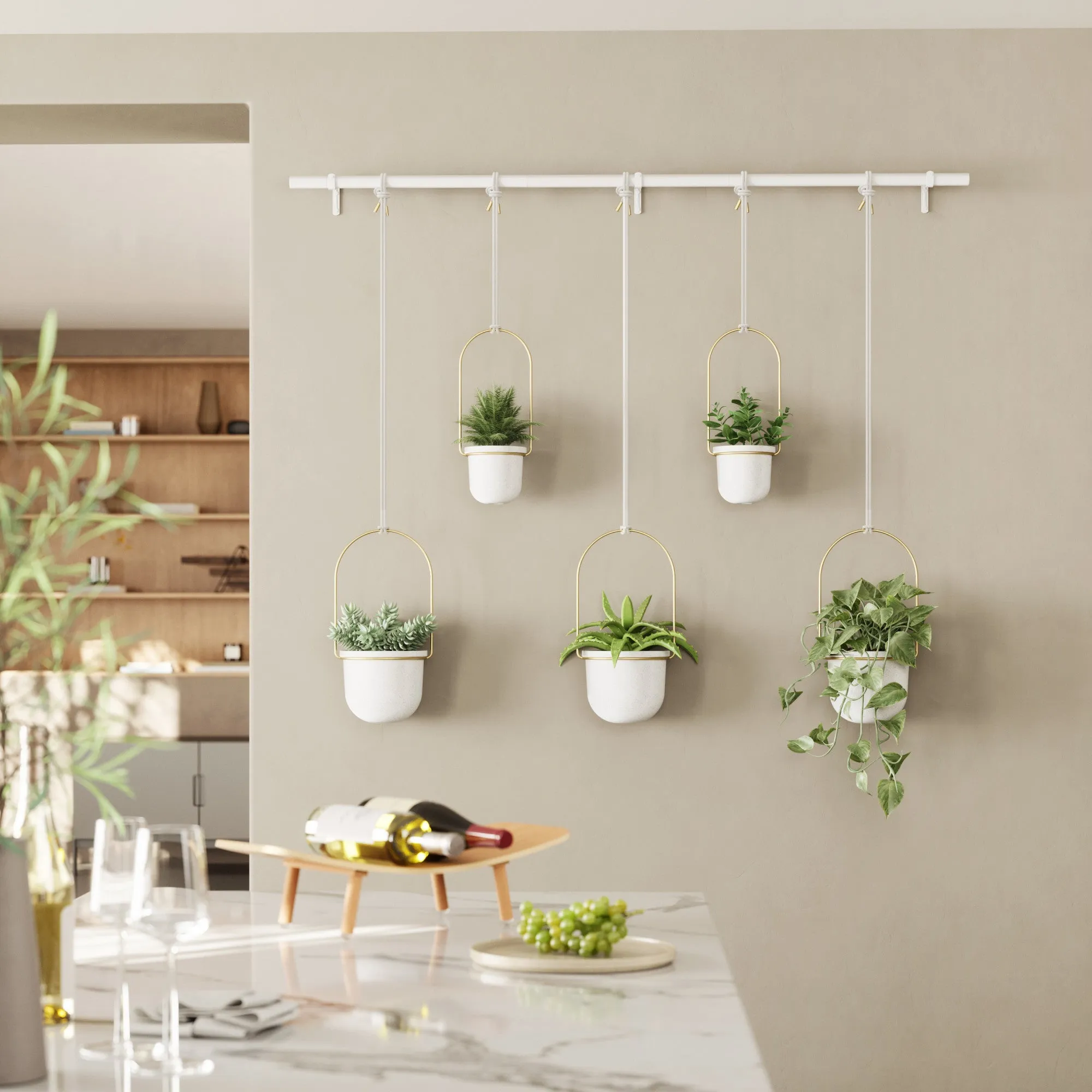 Triflora Hanging Planters, Set of 5