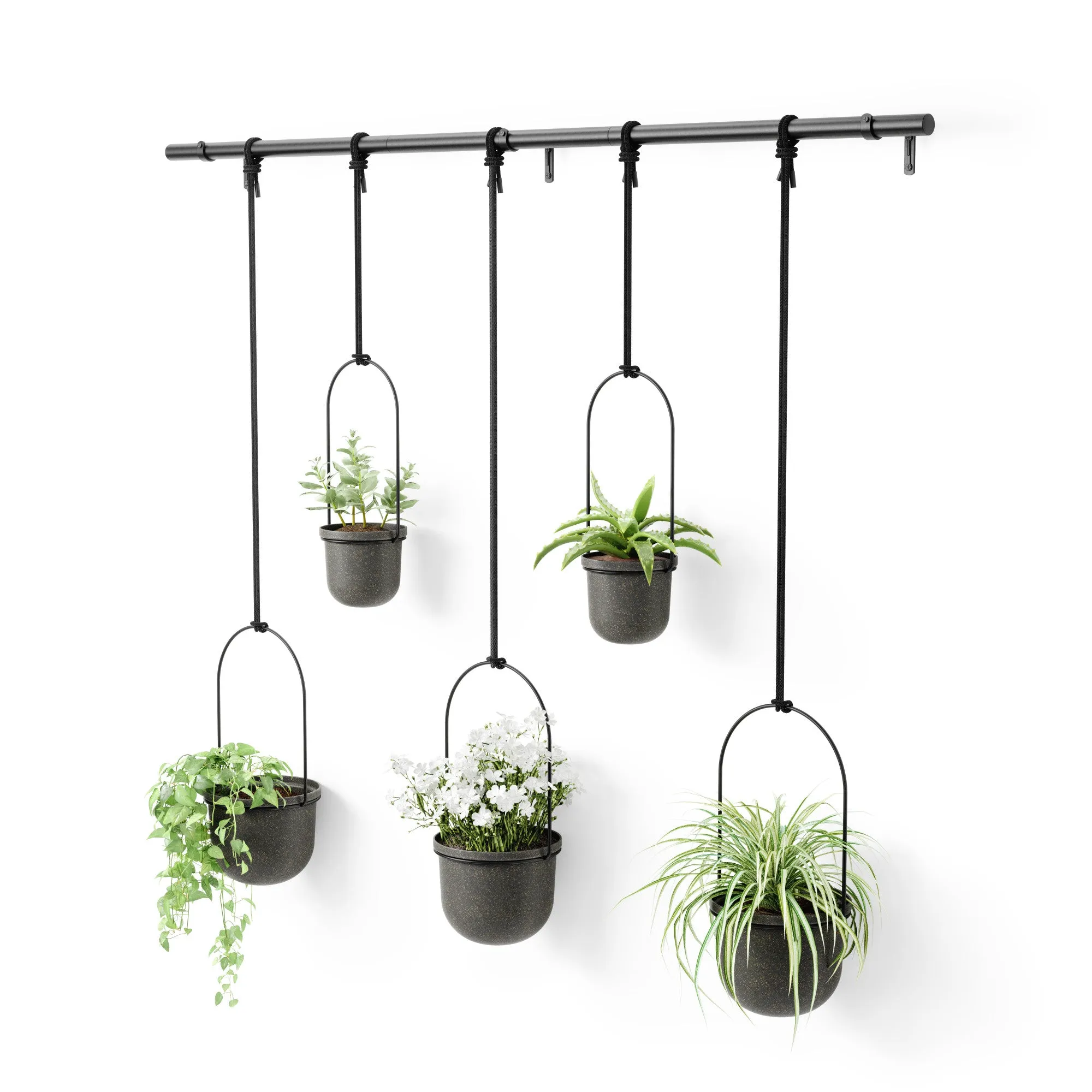 Triflora Hanging Planters, Set of 5