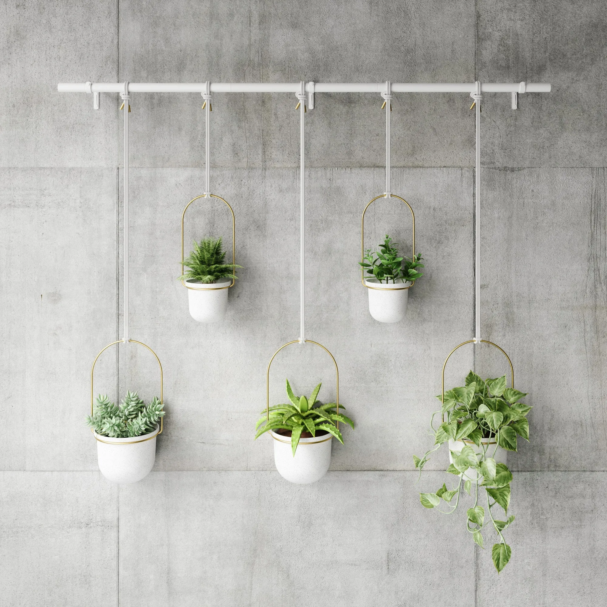 Triflora Hanging Planters, Set of 5