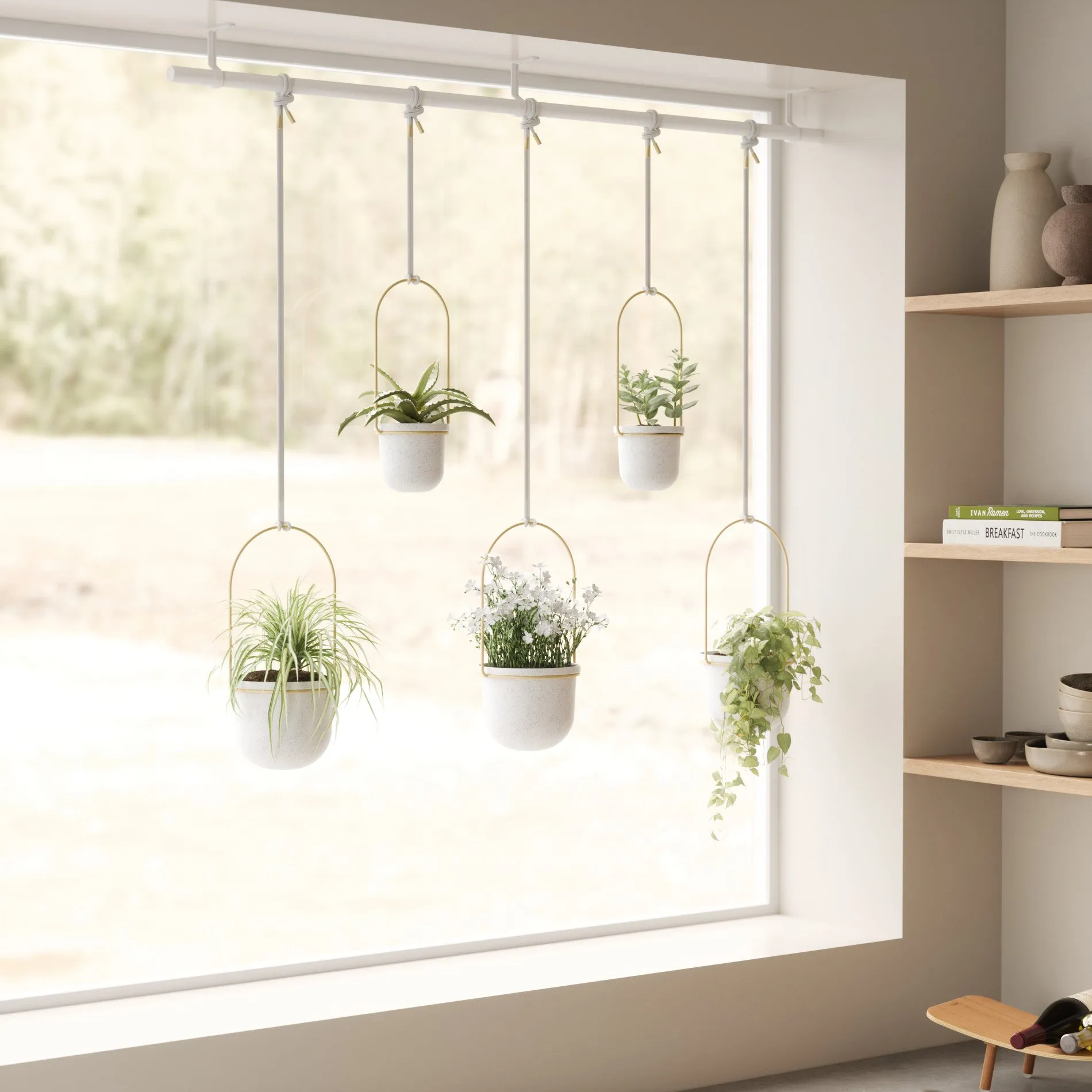 Triflora Hanging Planters, Set of 5