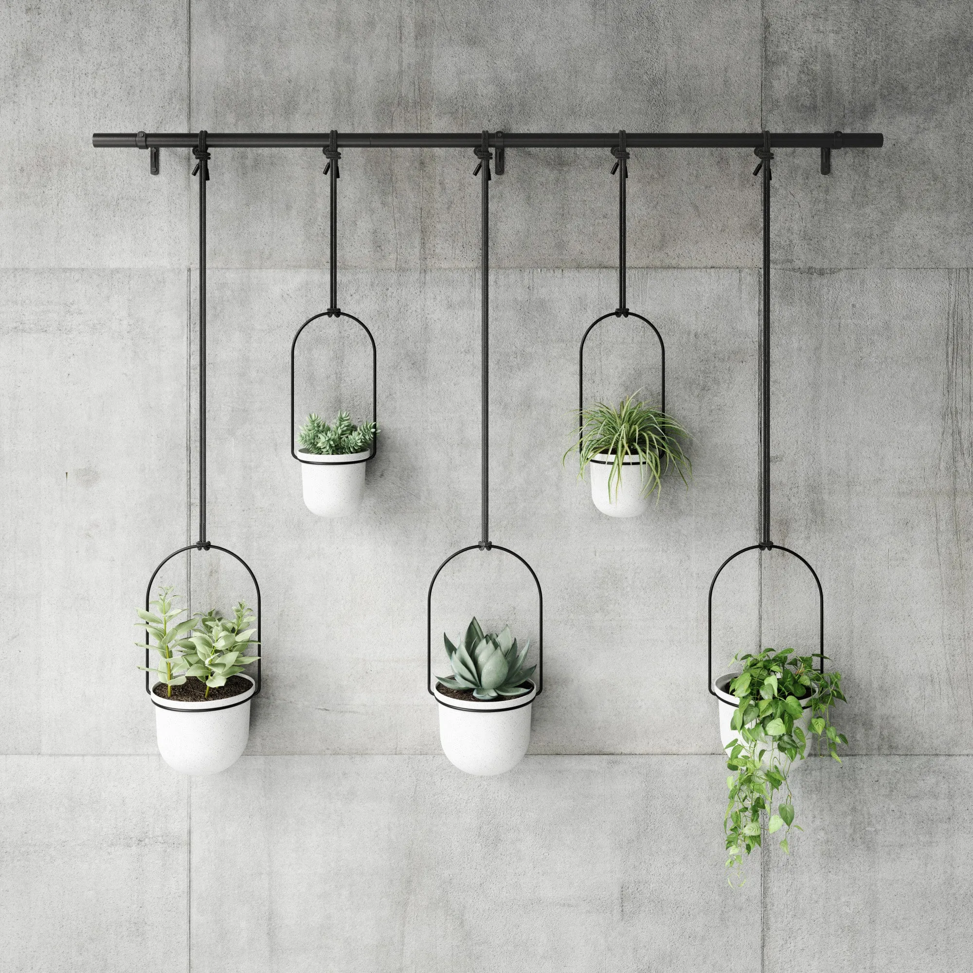 Triflora Hanging Planters, Set of 5