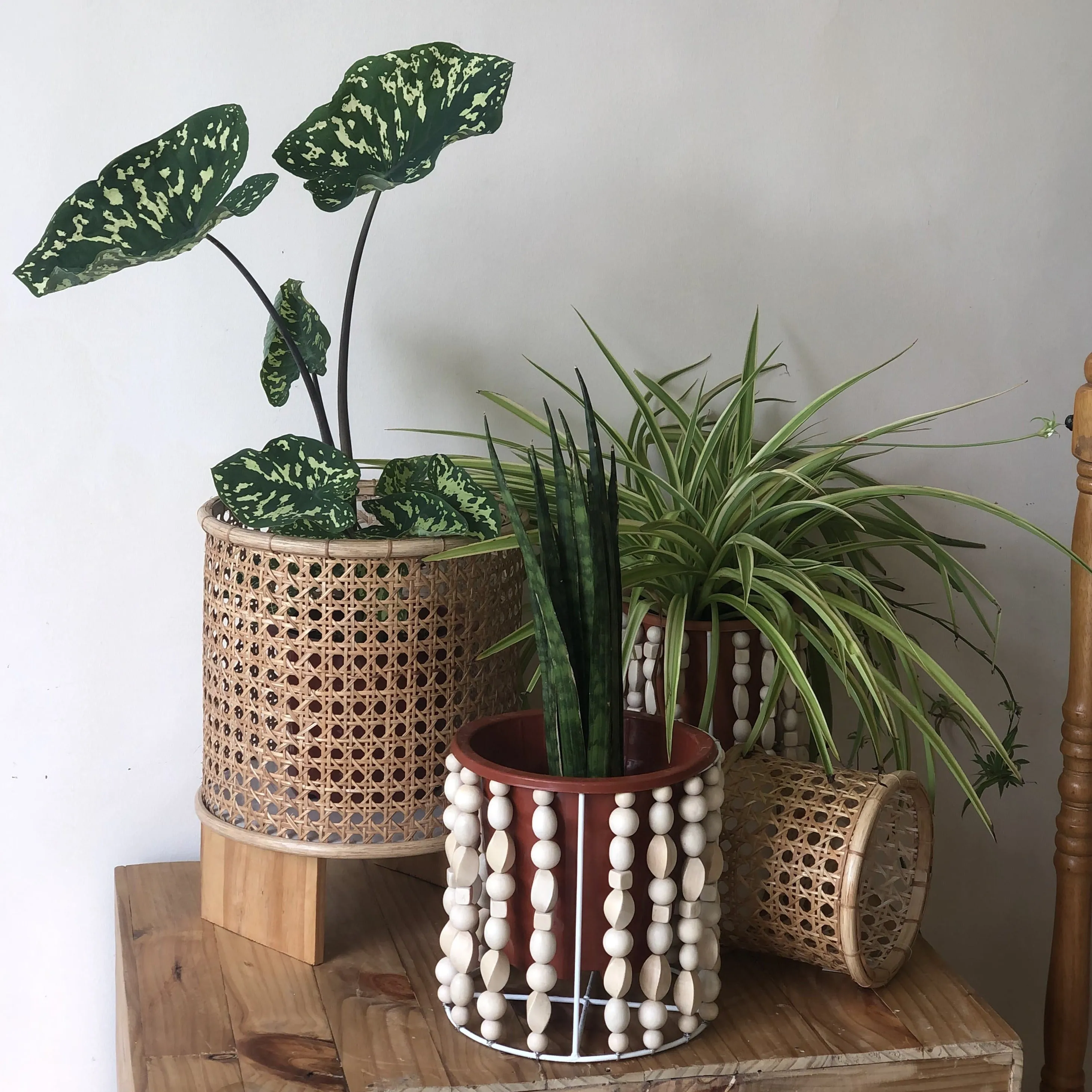 Wooden Bead Planter in Medium